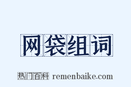 网袋组词是什么意思的图片